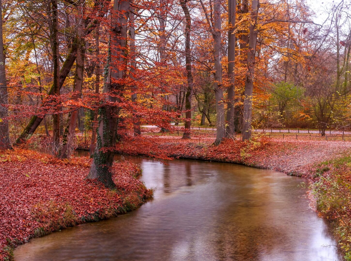 creek pexels-mykon-17615501